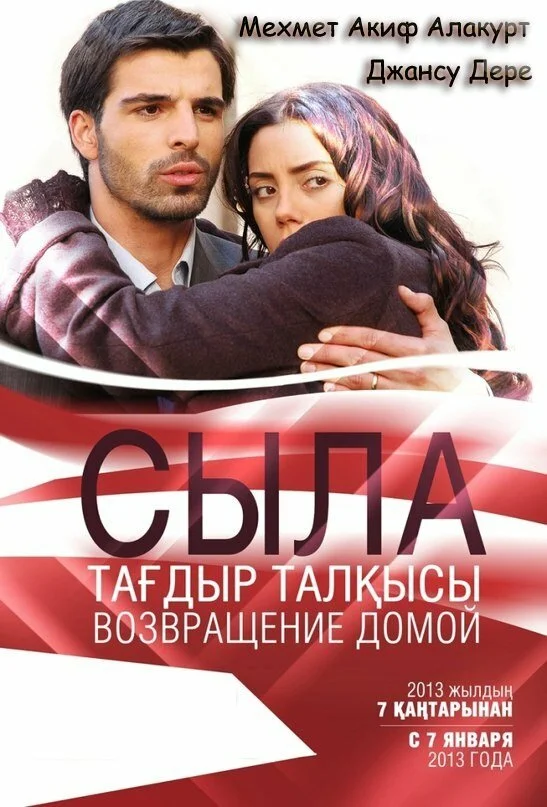 Сыла. Возвращение домой - постер сериала
